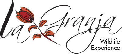 Self-Catering Farm Accommodation in the Lowveld -  Granja Lodge